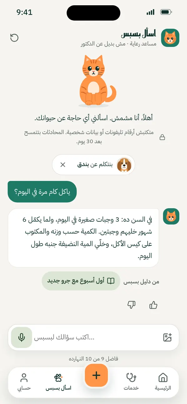 مشمش بيرد على سؤال في «اسأل بسبس»