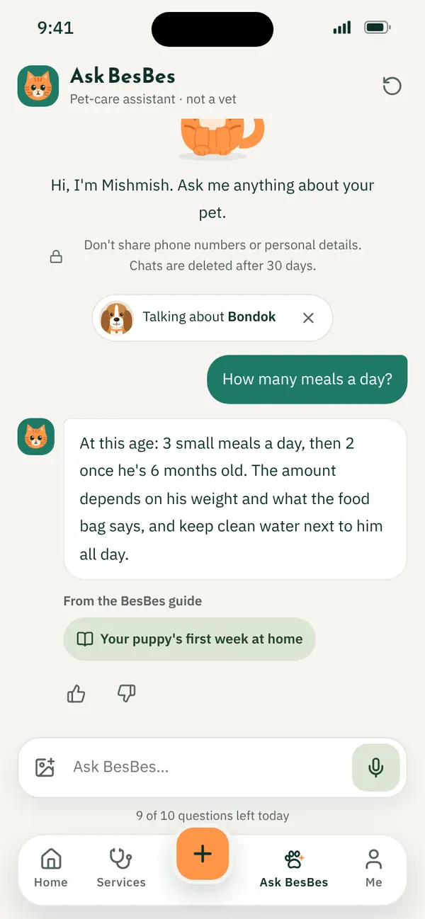 Mishmish answering a question in Ask BesBes